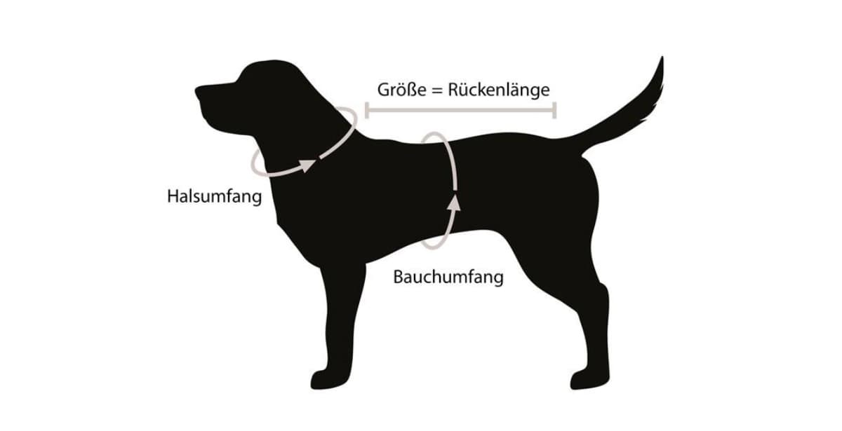 Größe und Passform