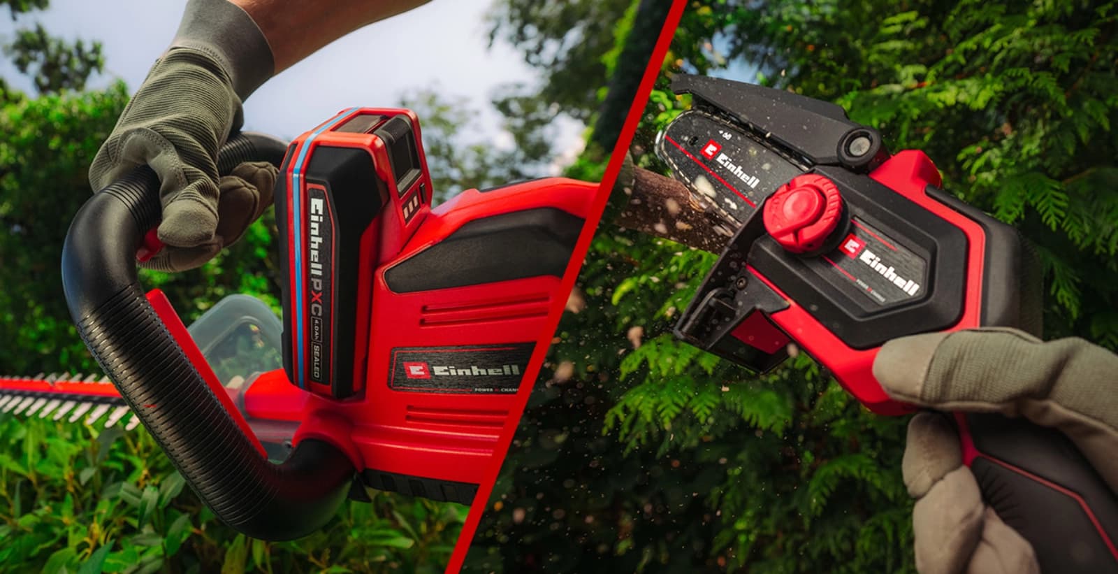 Baum- & Strauchpflege