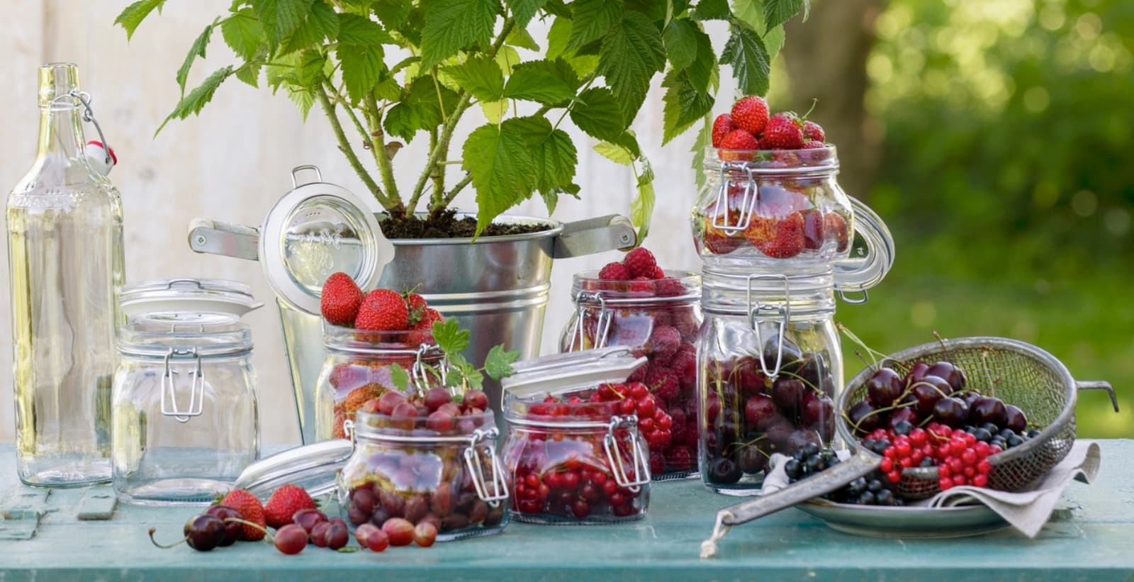 Heidelbeeren haltbar machen
