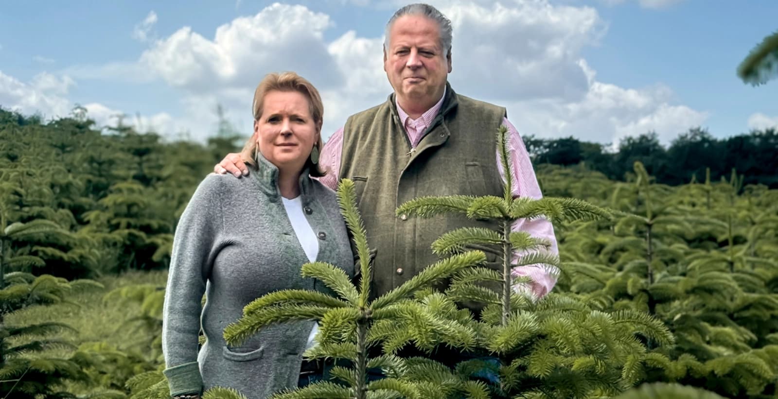 So geht nachhaltiger Weihnachtsbaum-Anbau