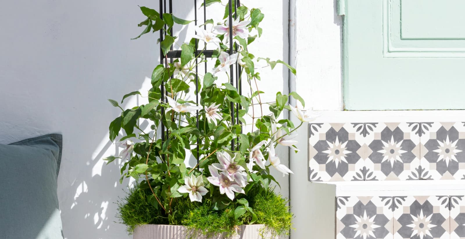 Rückschnitt der Kletterer