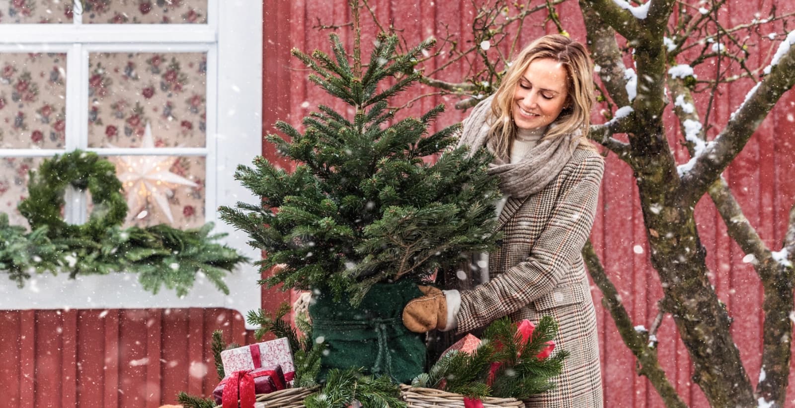 Welche Art passt zu mir?