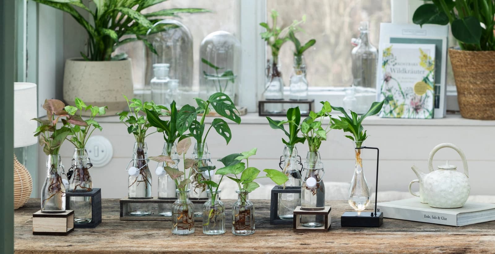 Der perfekte Standort