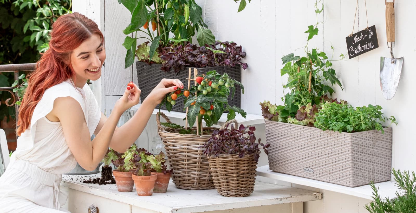 Schicken Balkonkasten finden