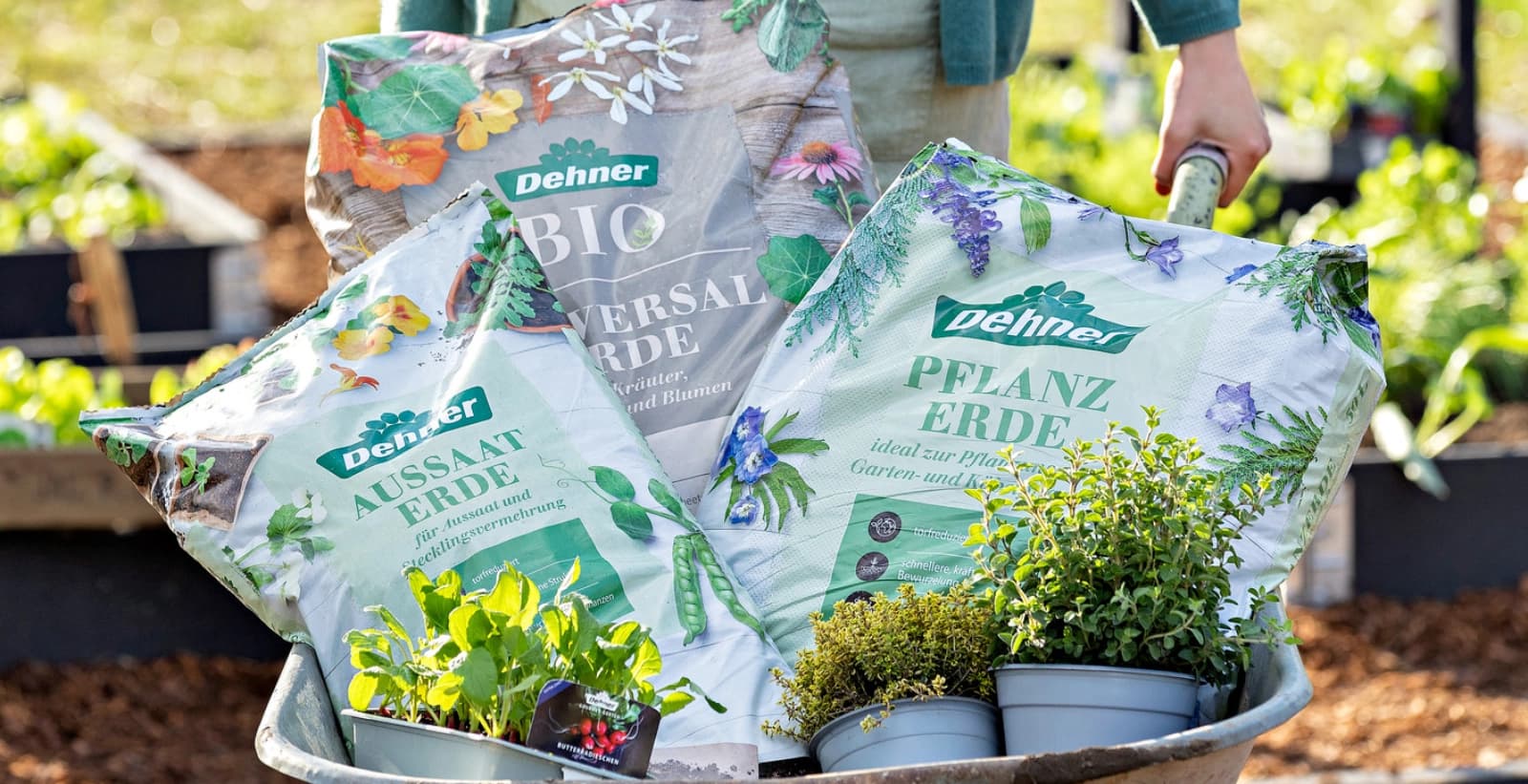 Fundament eines gesunden Gartens