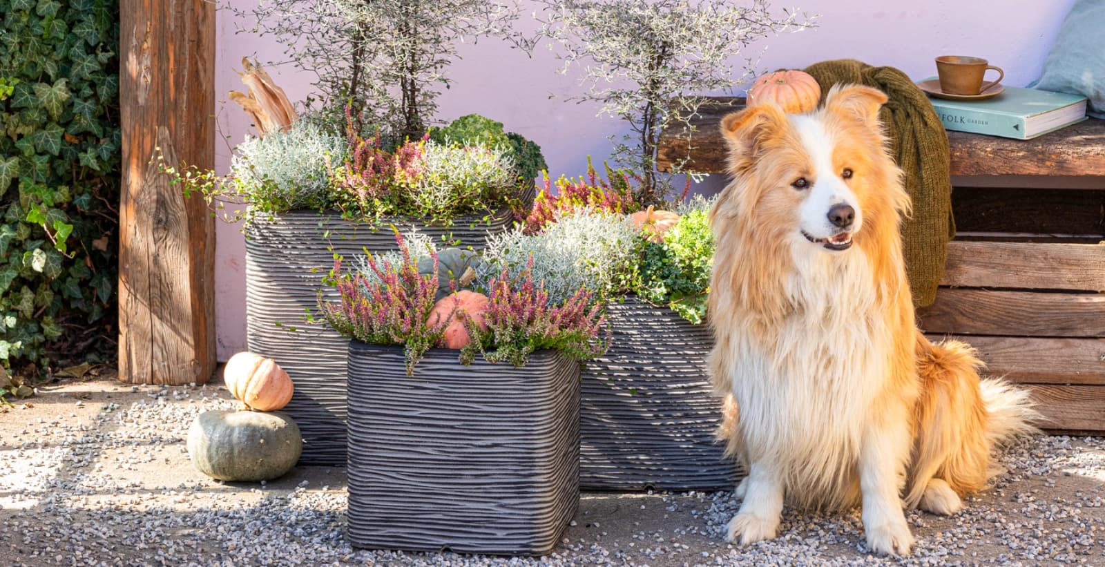 Pflanzgefäße für das bunte Finale