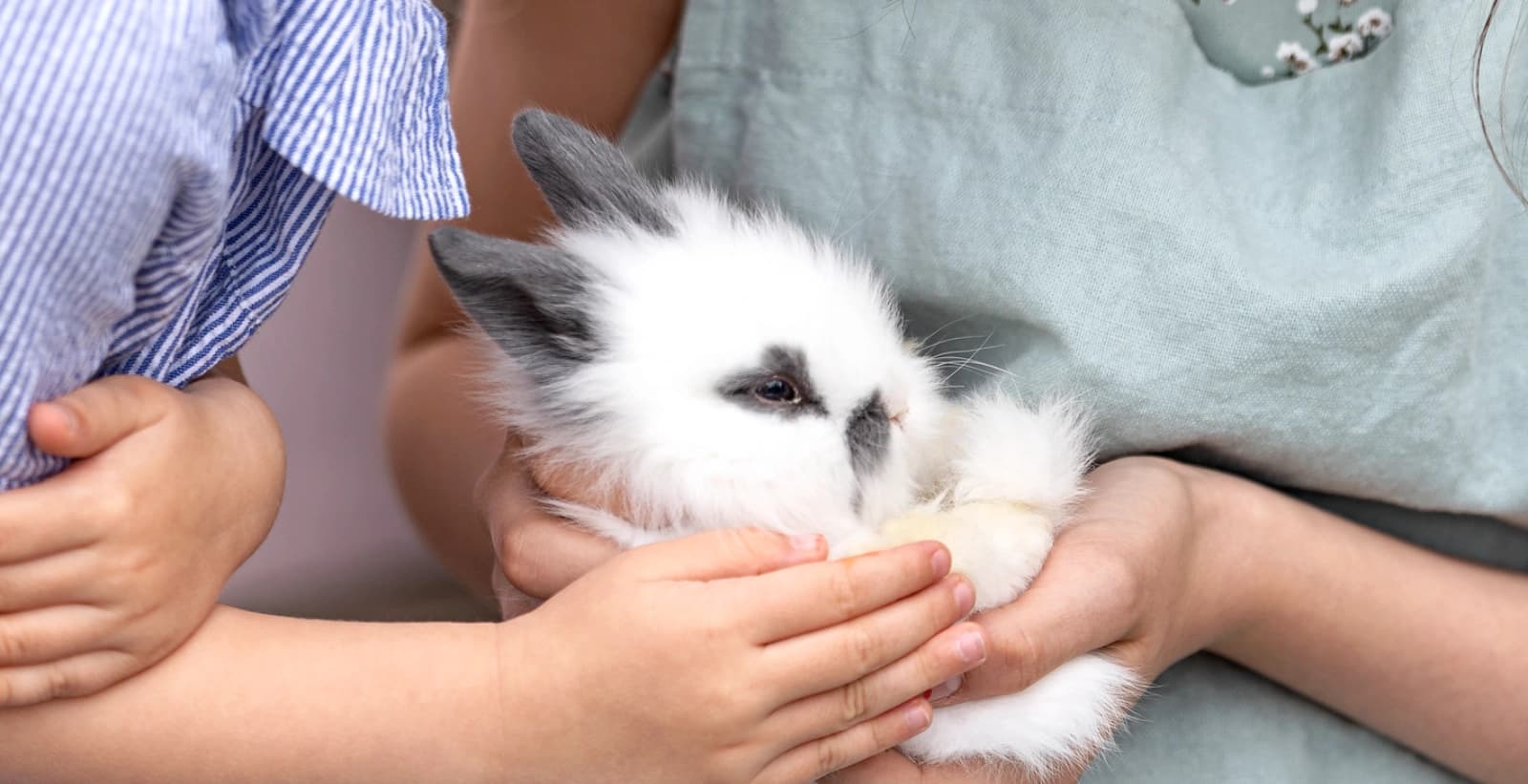 Unsere Kleintiere – Kleine Herzen zum Verlieben