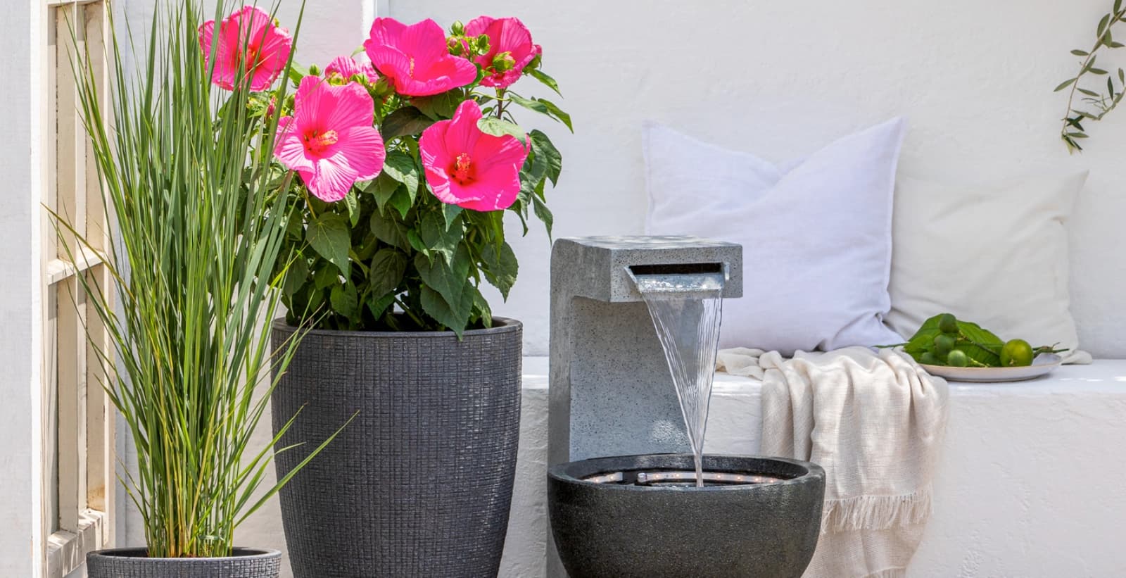 Perfekte Pflanzgefäße für Ihren Hibiskus