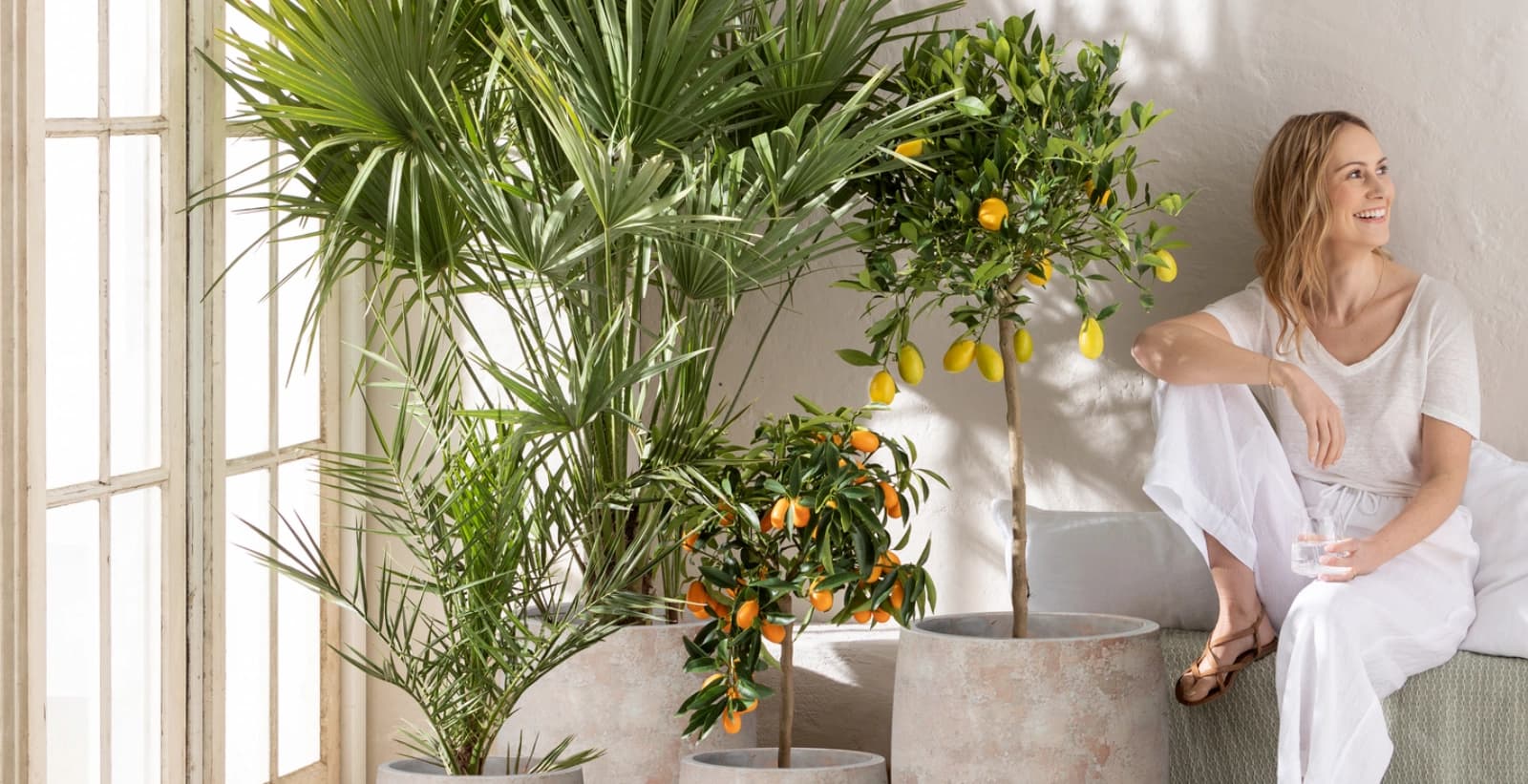 Exotische Palmenlandschaft