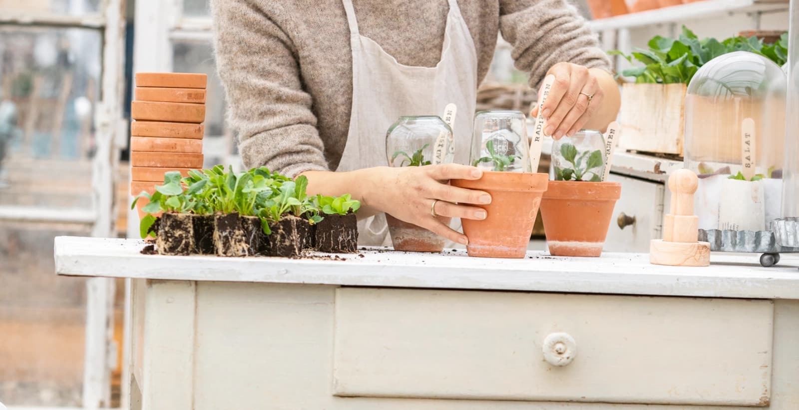 Dehner Gewächshauskalender