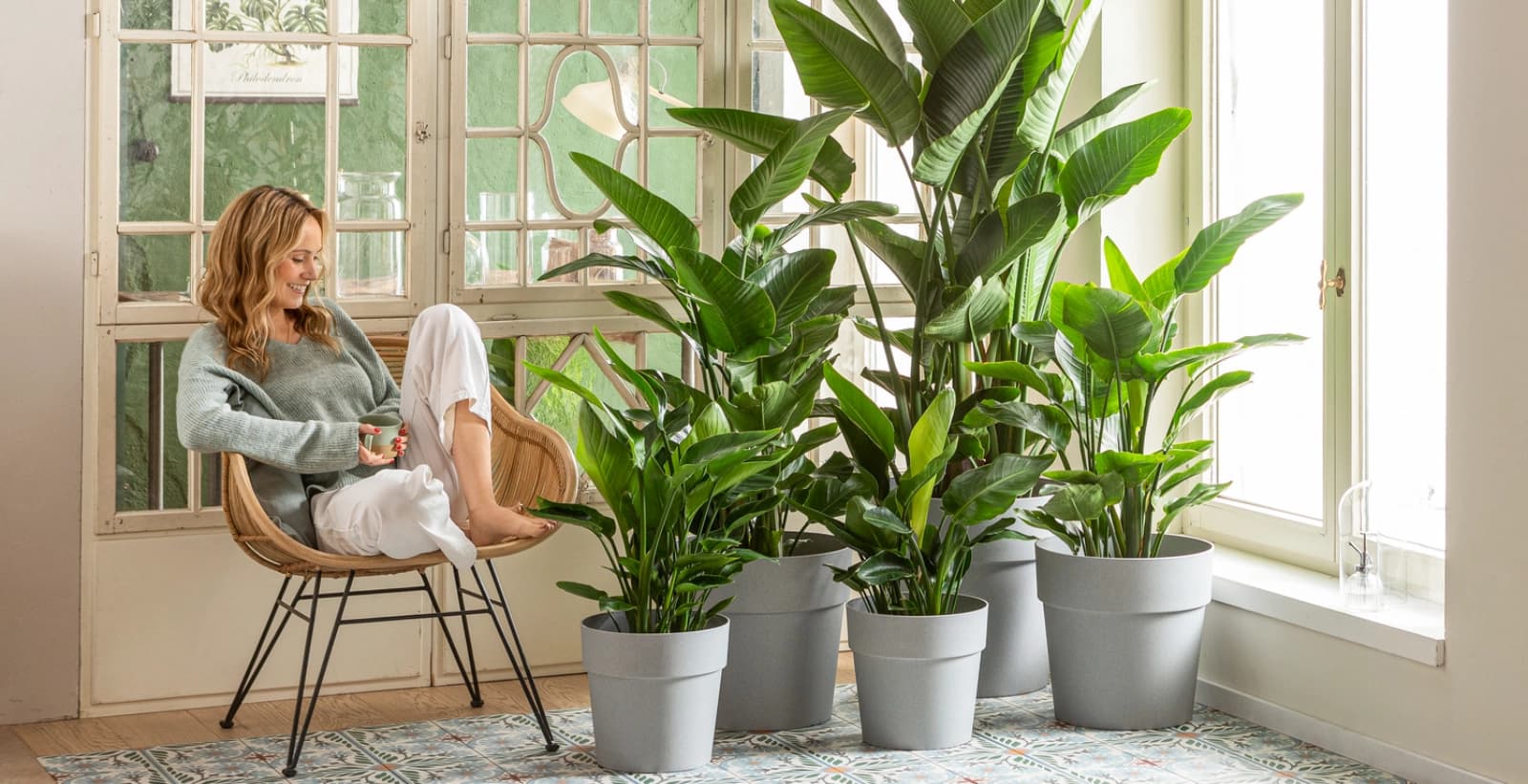 Für die Sonnenseite