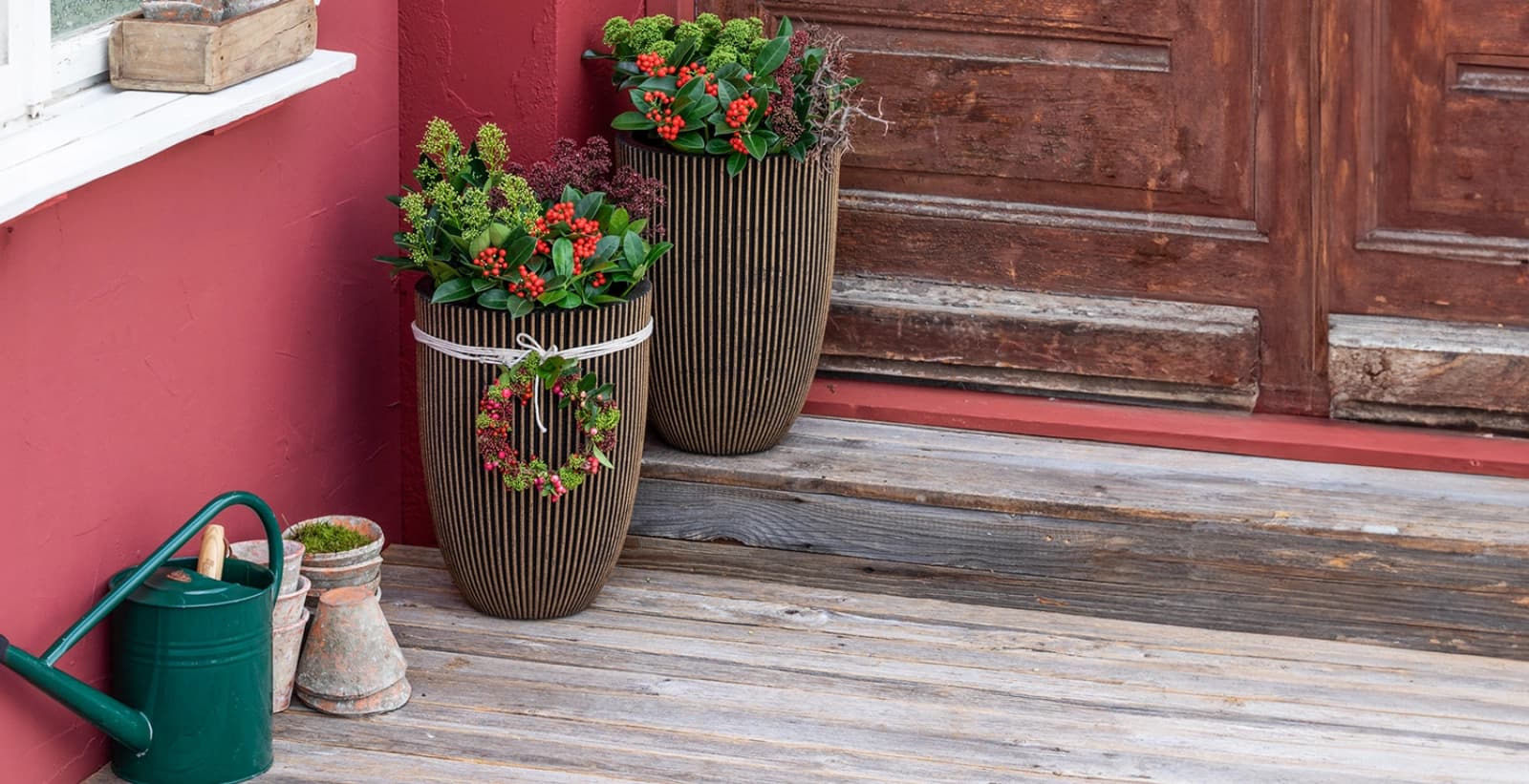 Immergrüne wässern