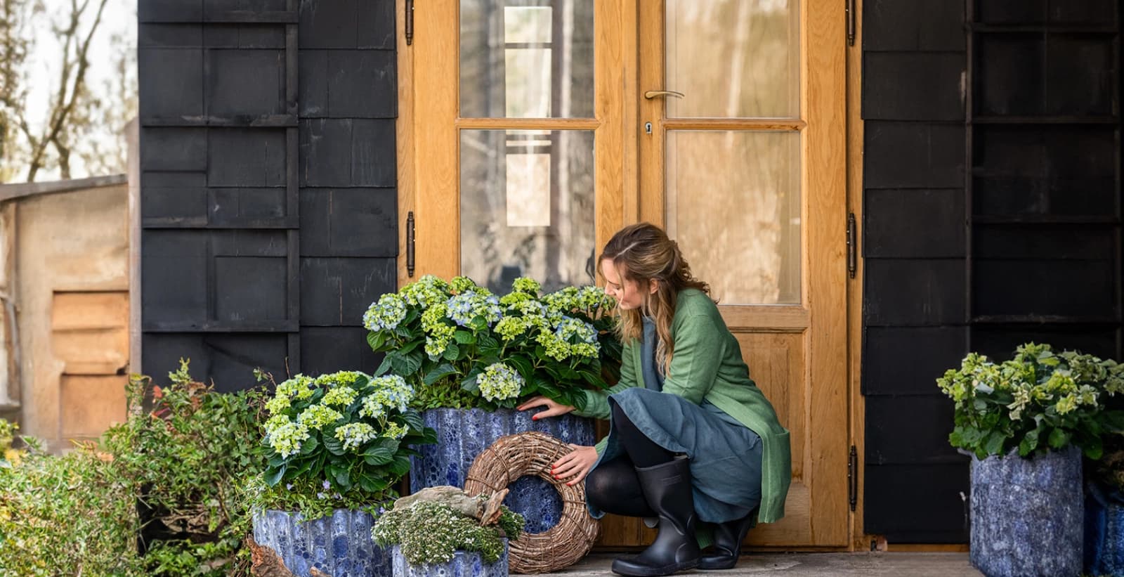 Gehölze & Sträucher