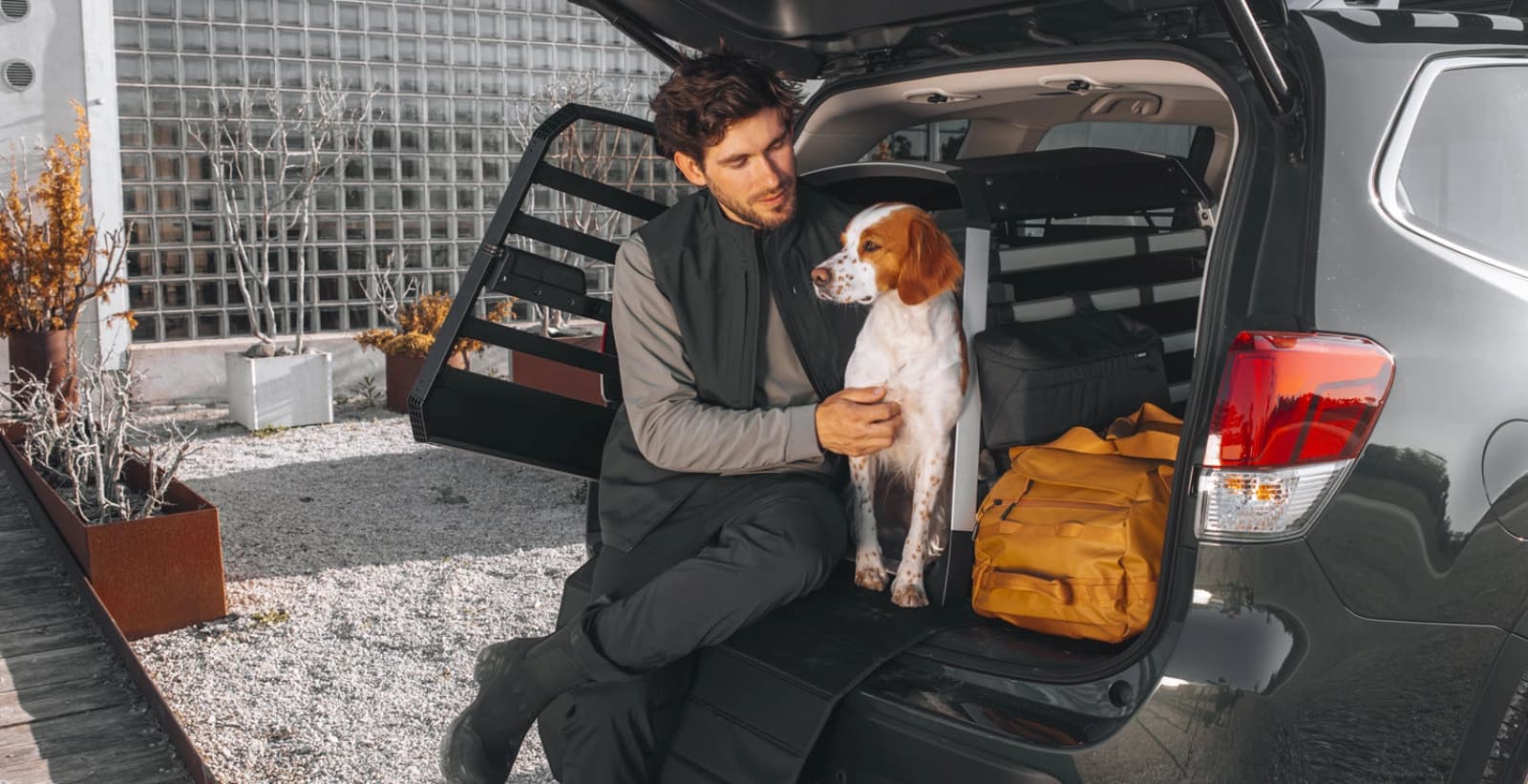 Hundetransport leicht gemacht