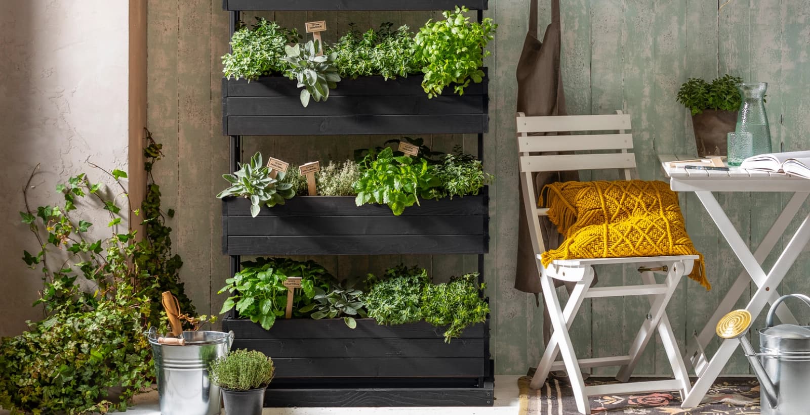 Frische Kräuter ernten & genießen