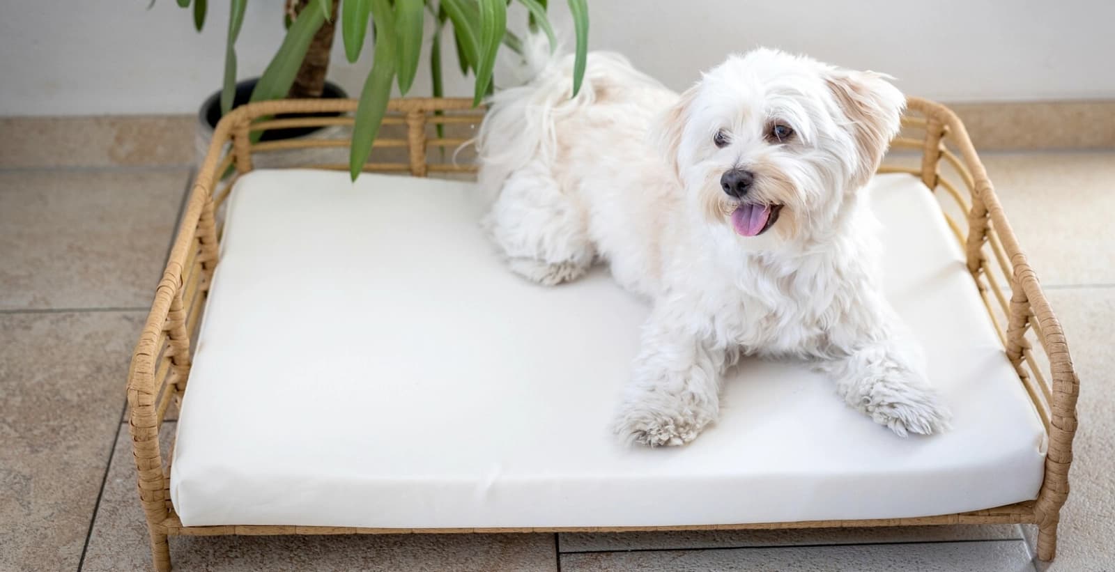 Klein und umgänglich