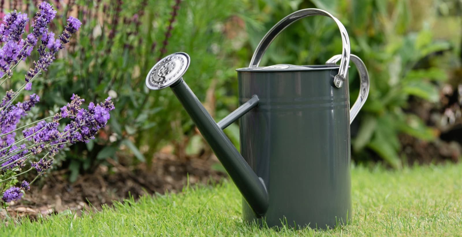 Prächter Wuchs garantiert