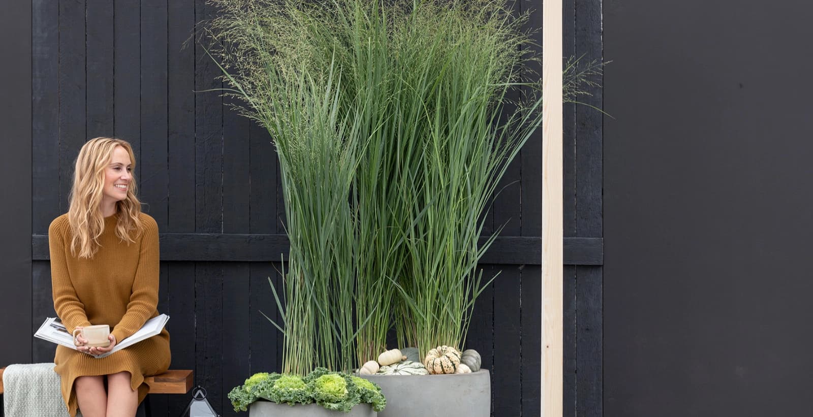 Filigrane Gräser für den Garten