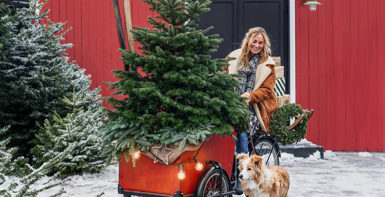 2. Fachgerechter Transport