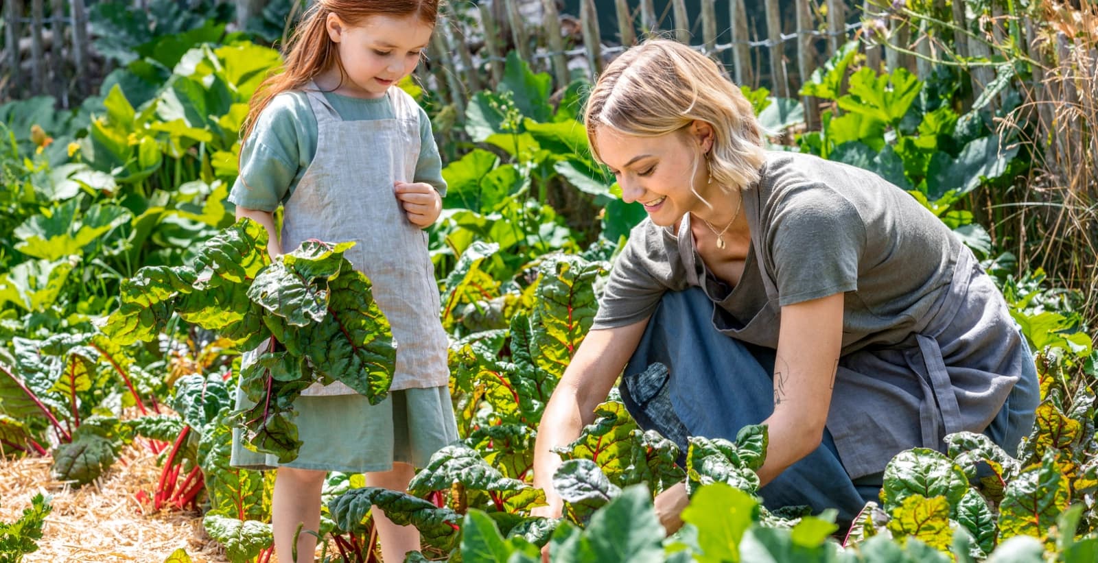 Ernteglück für die ganze Saison