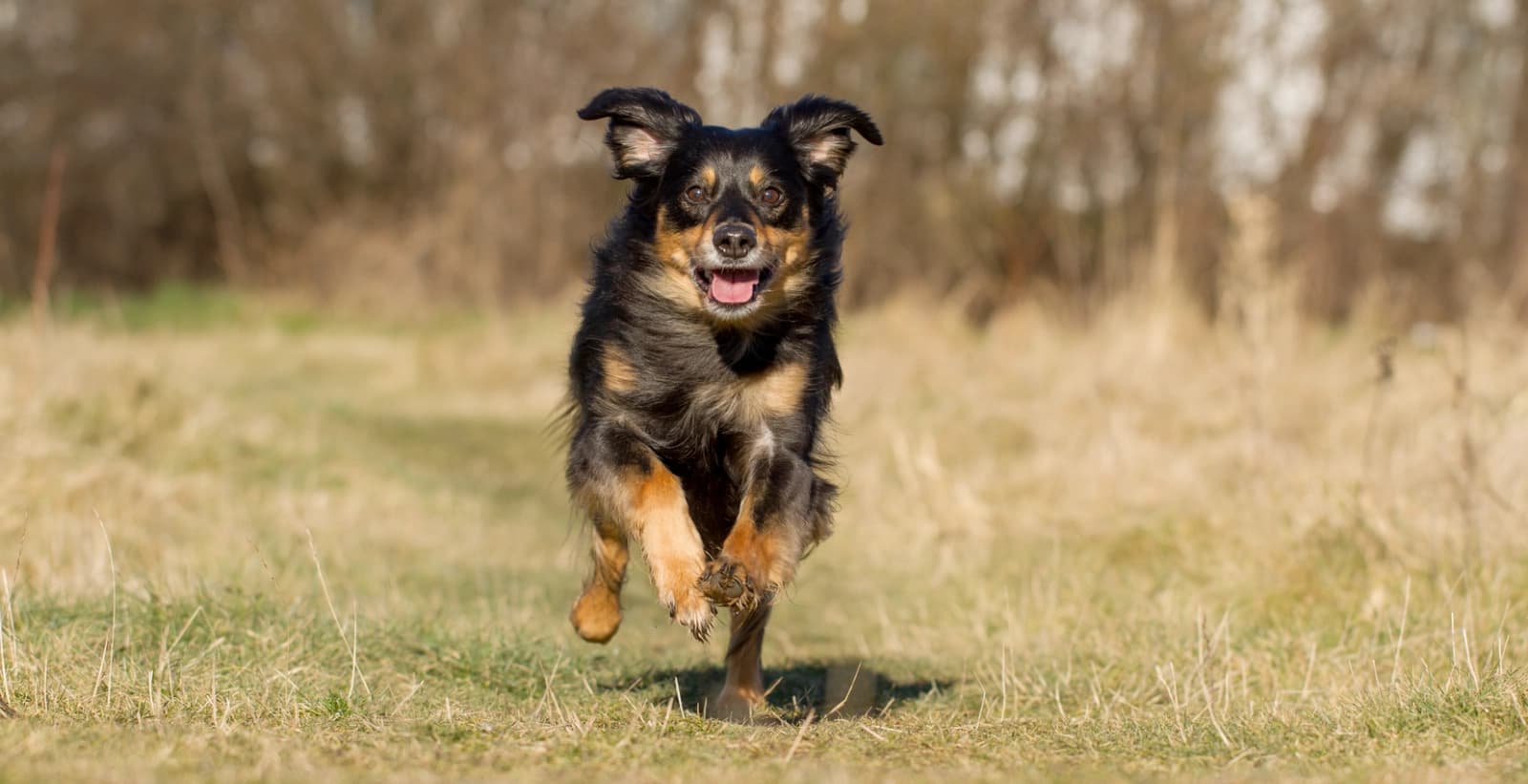 Furchtlos und stürmisch