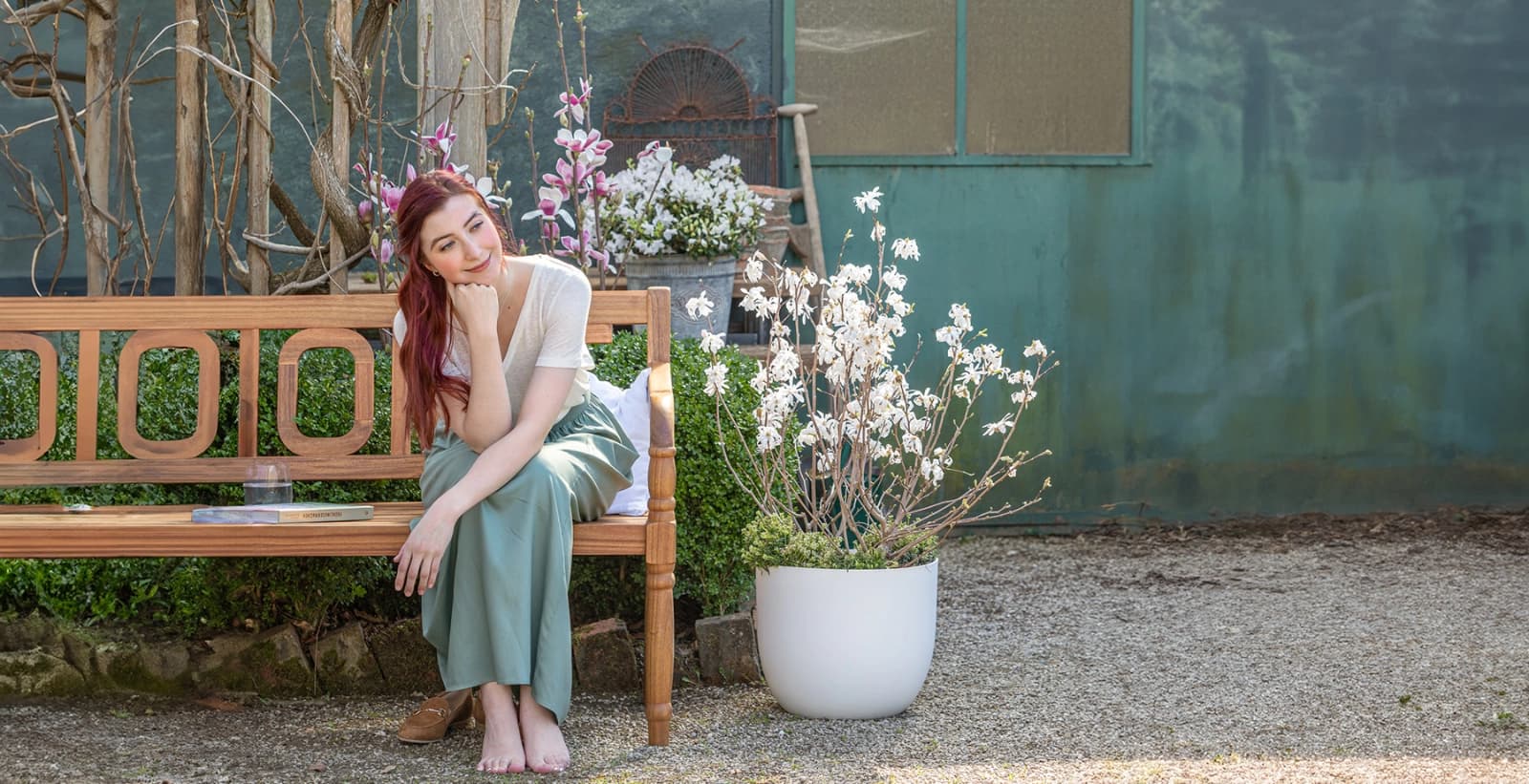 Elegante Magnolien entdecken