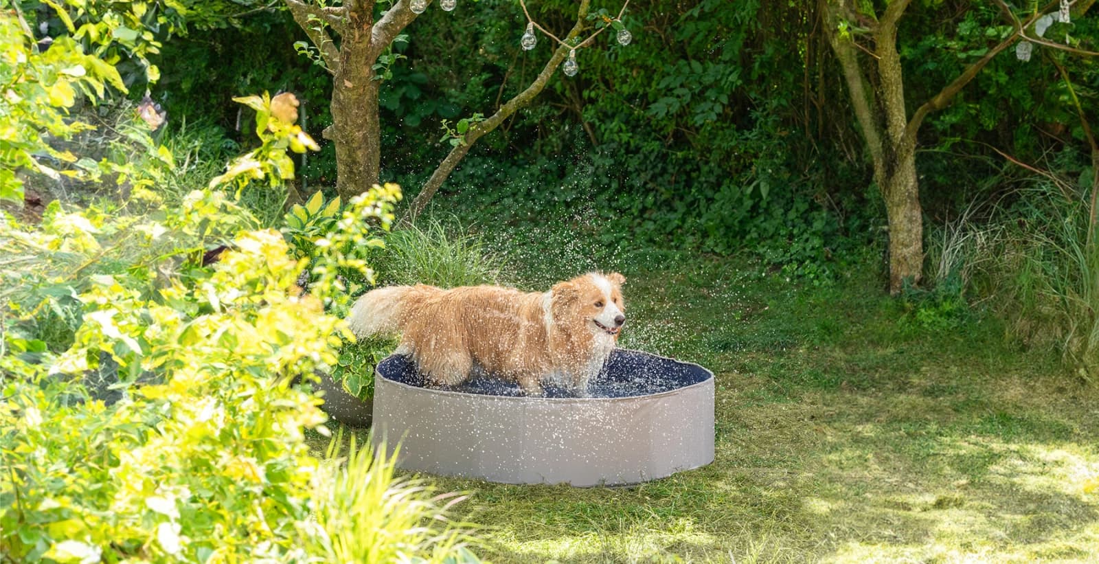 Alles für die heißen Sommertage mit Ihrem Vierbeiner
