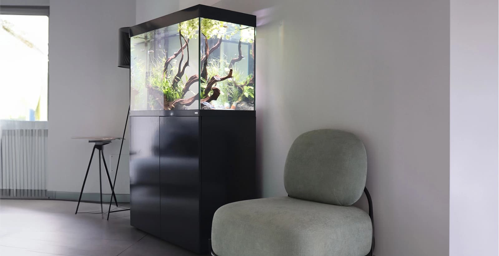 Gute Sicht ins Unterwasserparadies