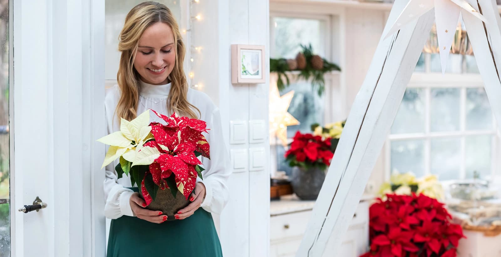 Farbenvielfalt und Geschichte