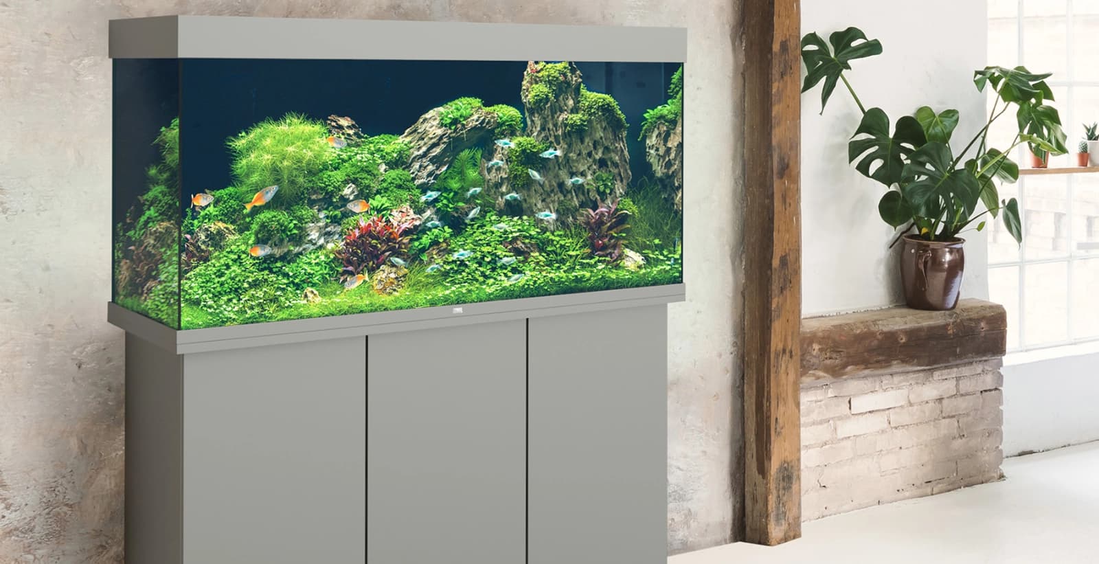 Kleiner Ozean für Zuhause