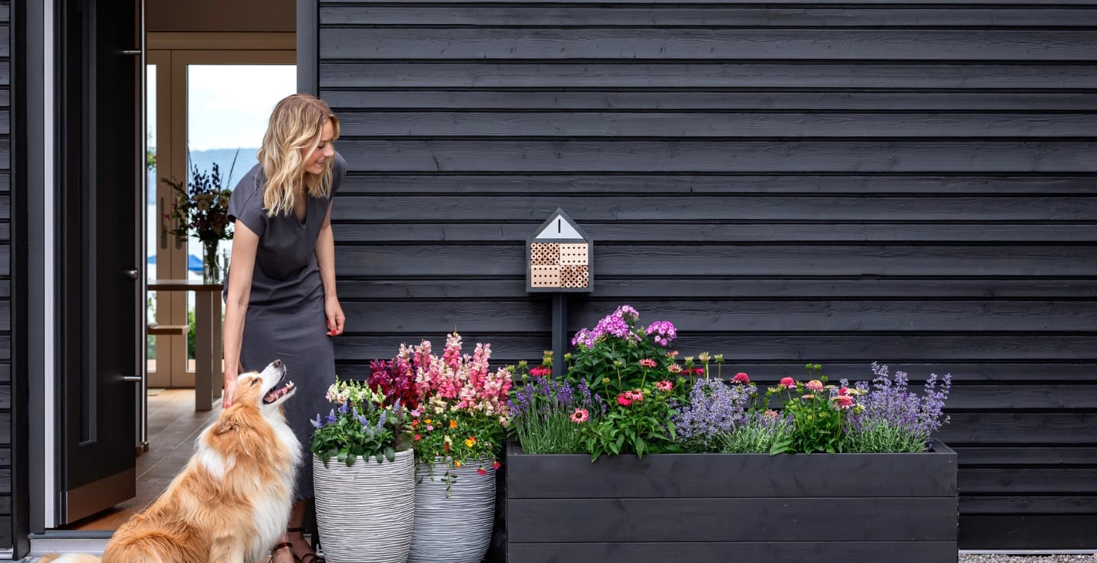 Insektenfreundliche Pflanzen