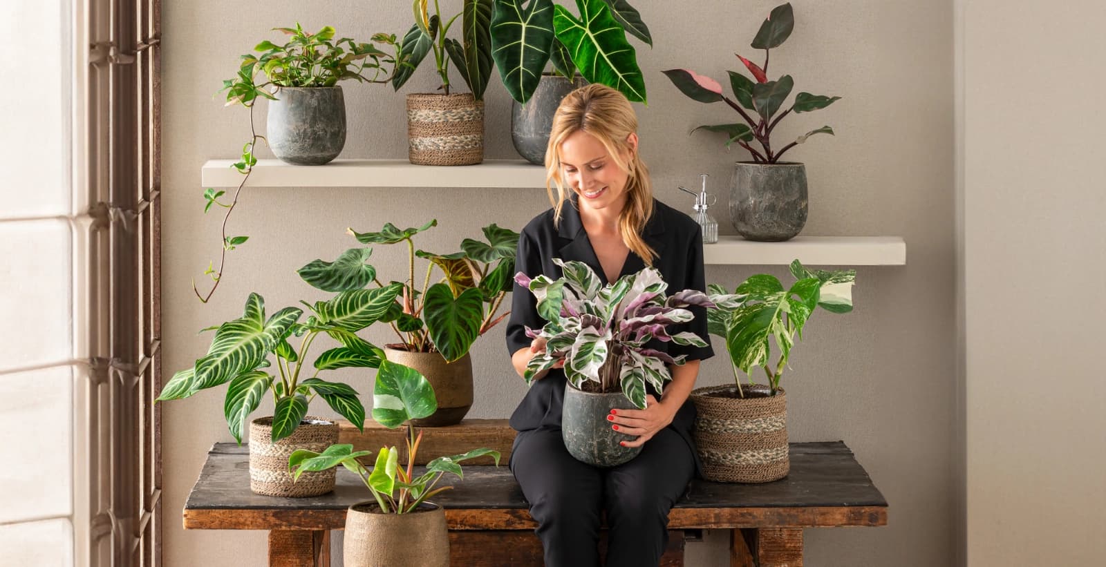 Der perfekte Übertopf