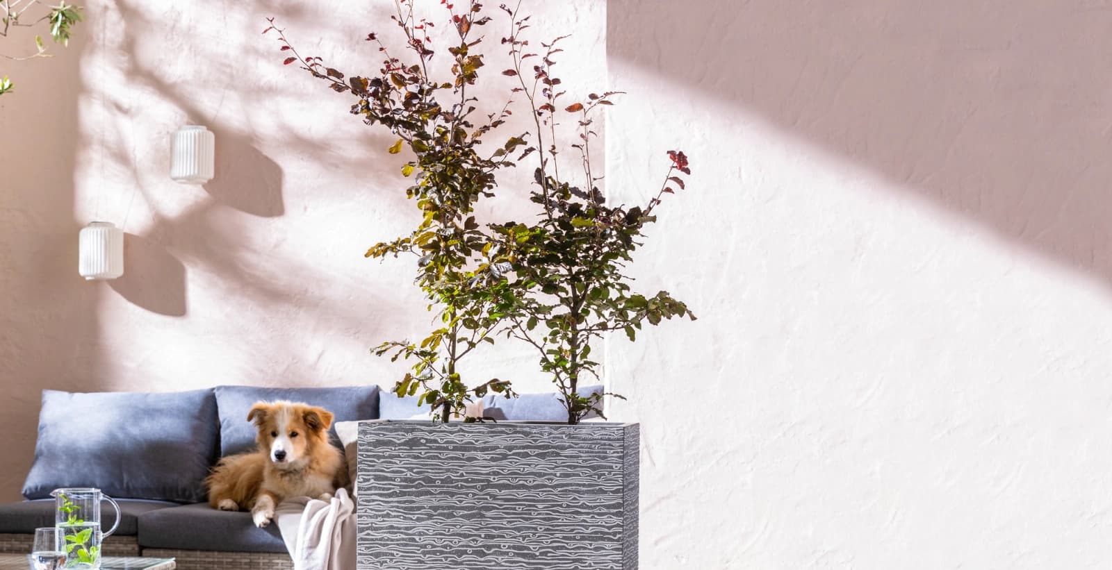 Laubgehölze für Hecken