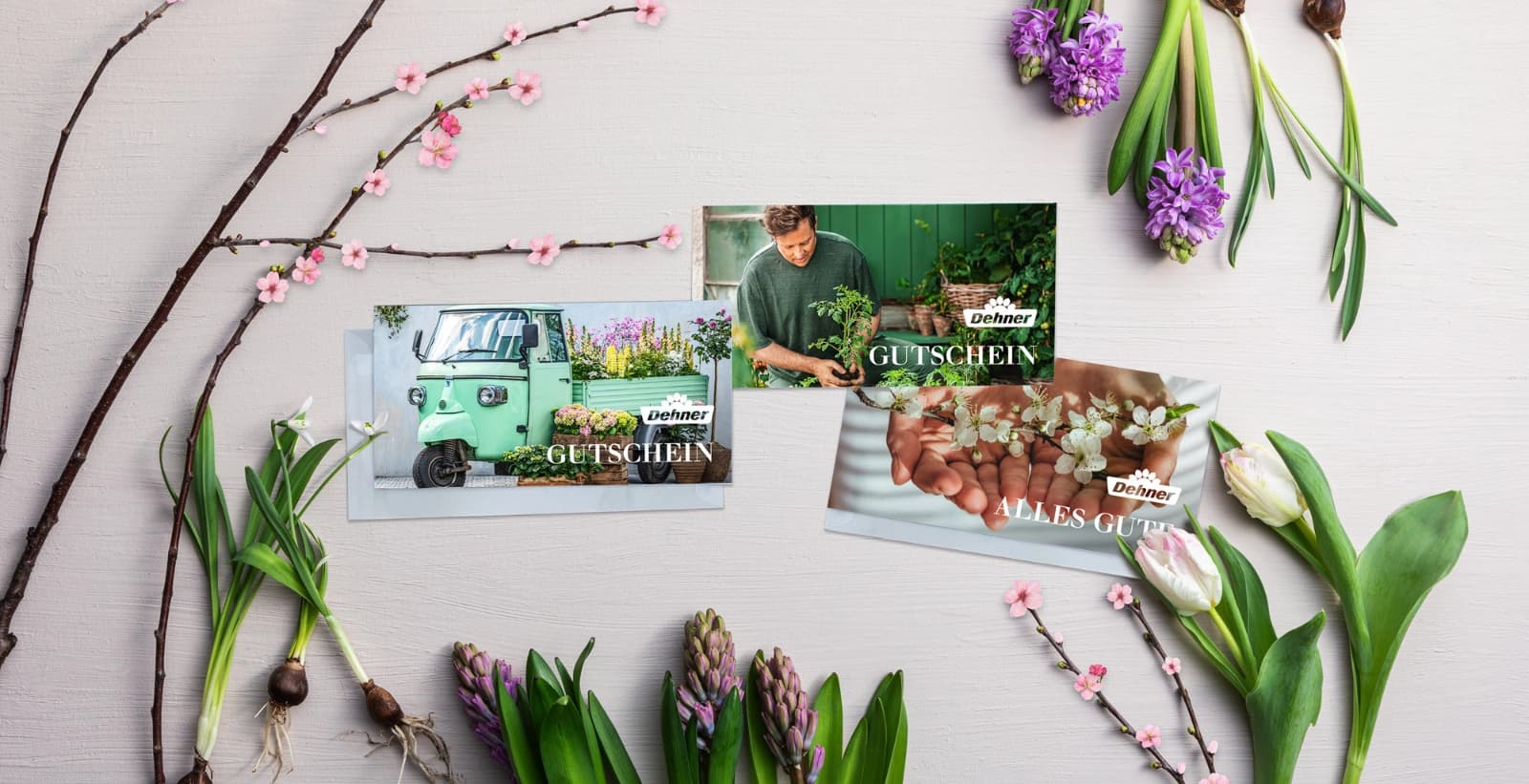 Dehner Gutscheine