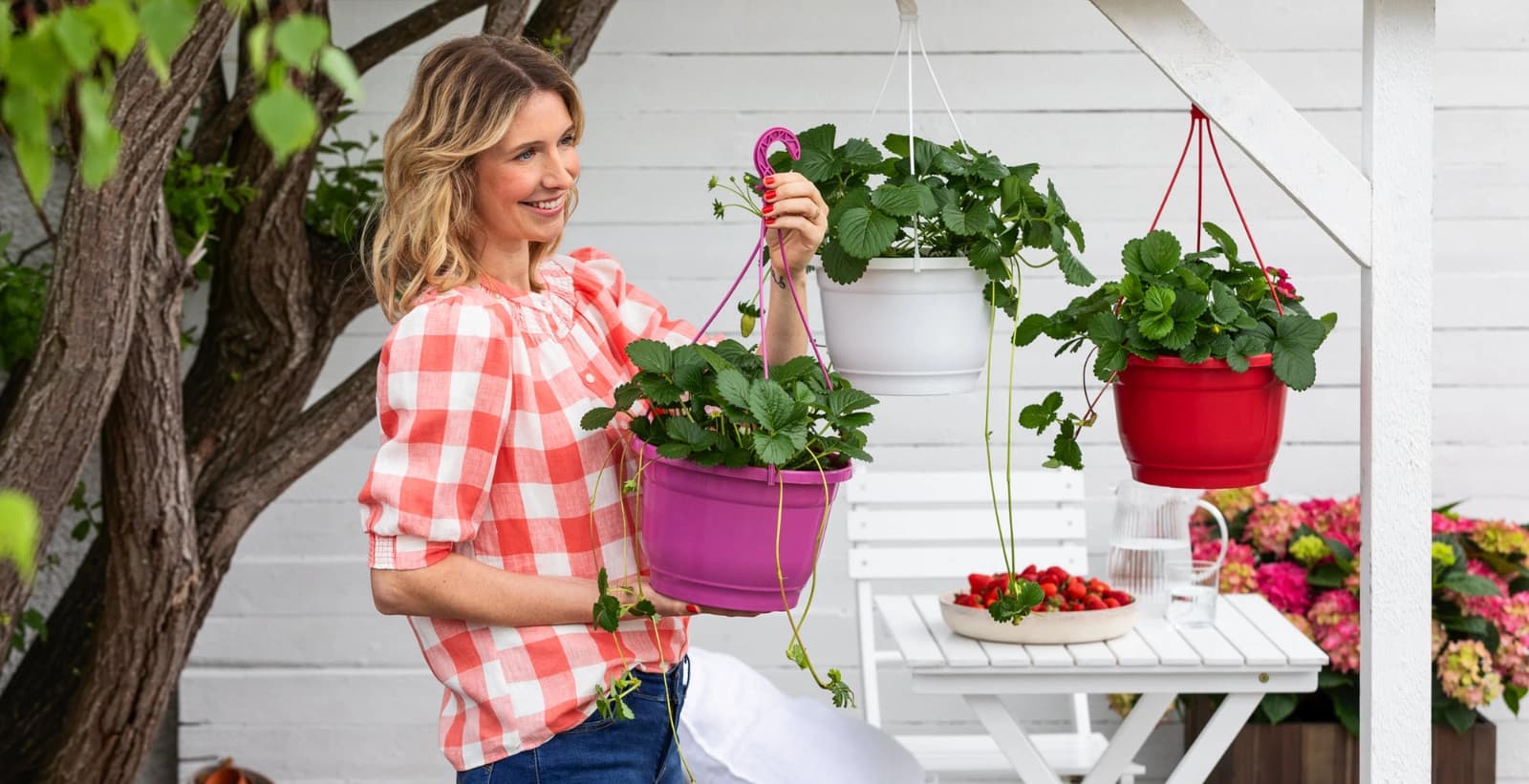 Startbedingungen für die Lieblingsbeere
