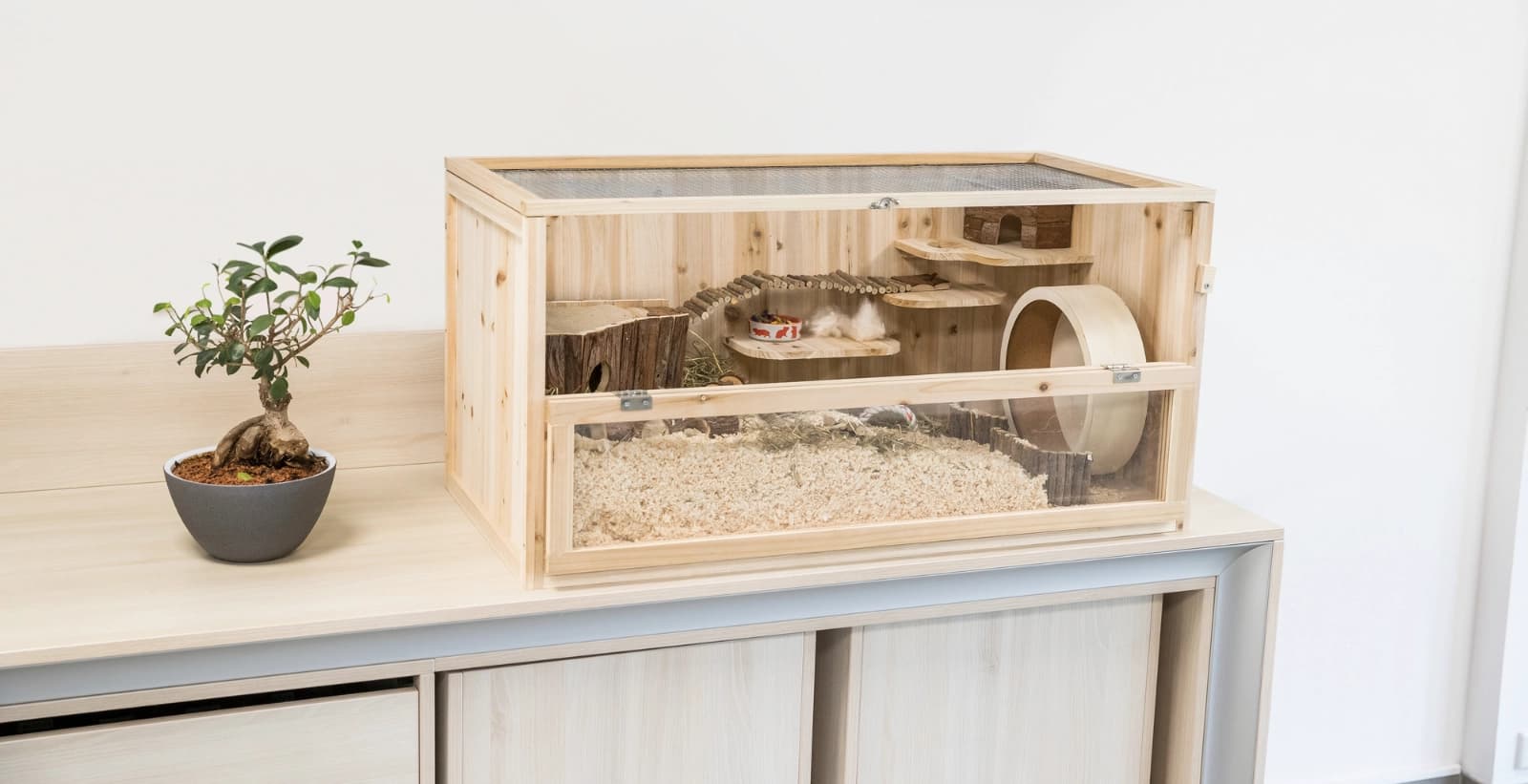 Finden Sie das ideale Zuhause für Ihre Mäuse