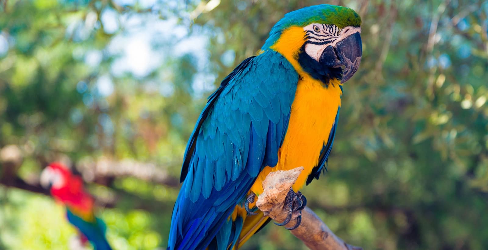 Keine Langeweile für kluge Köpfe