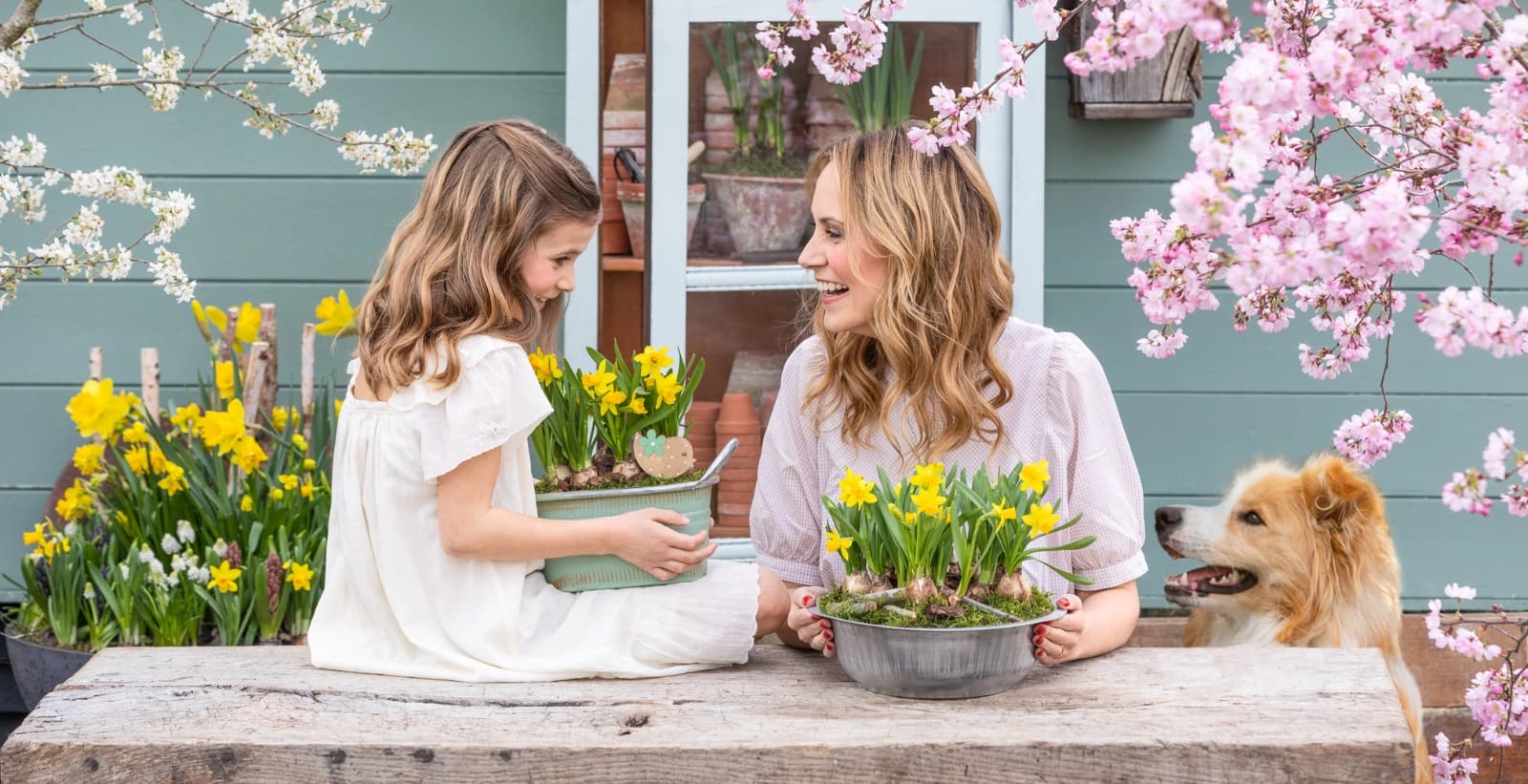 Blühende Pracht dank unserem Dünger für Blumenzwiebeln