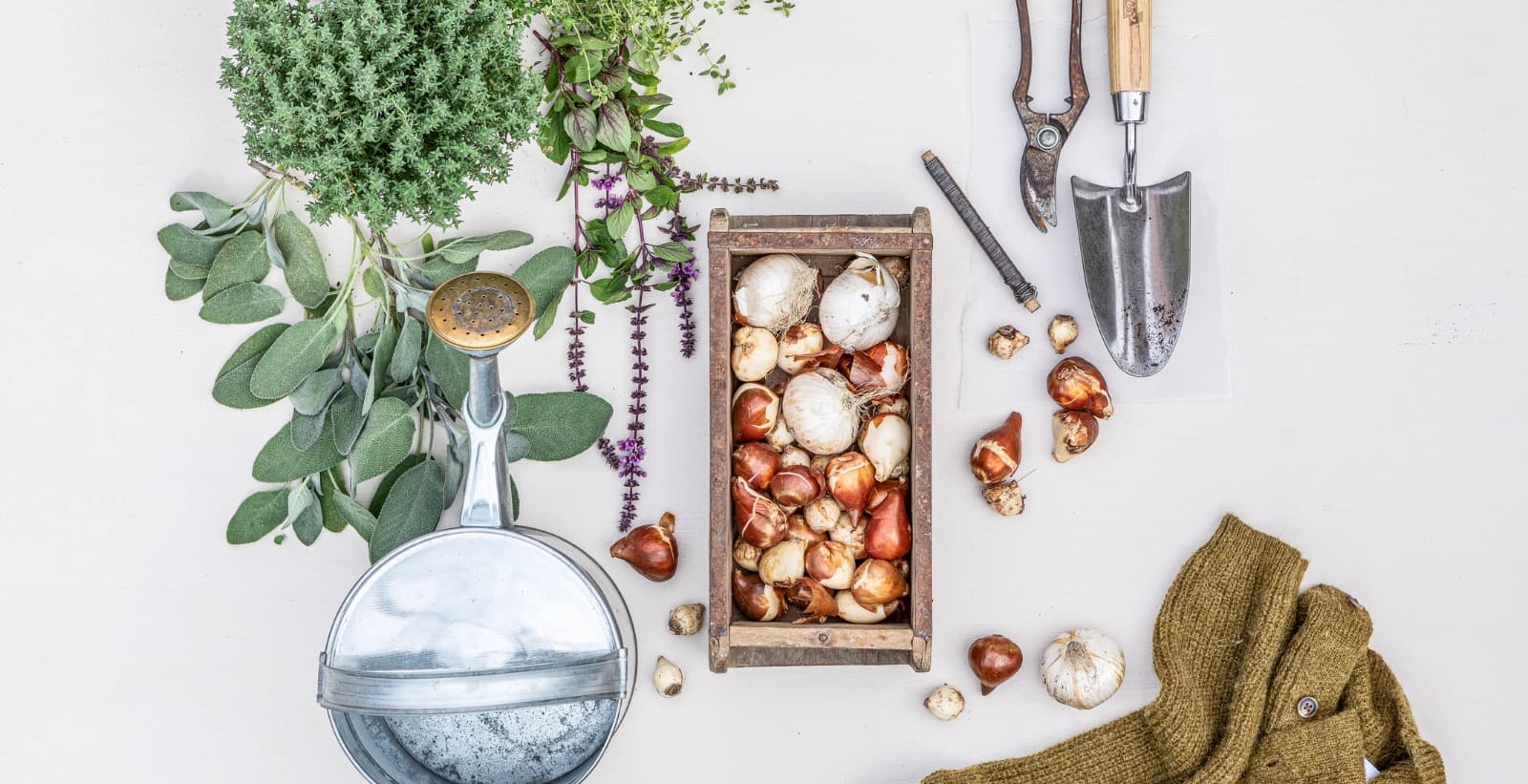 Perfekt ausgerüstet für die Blumenzwiebel-Saison!