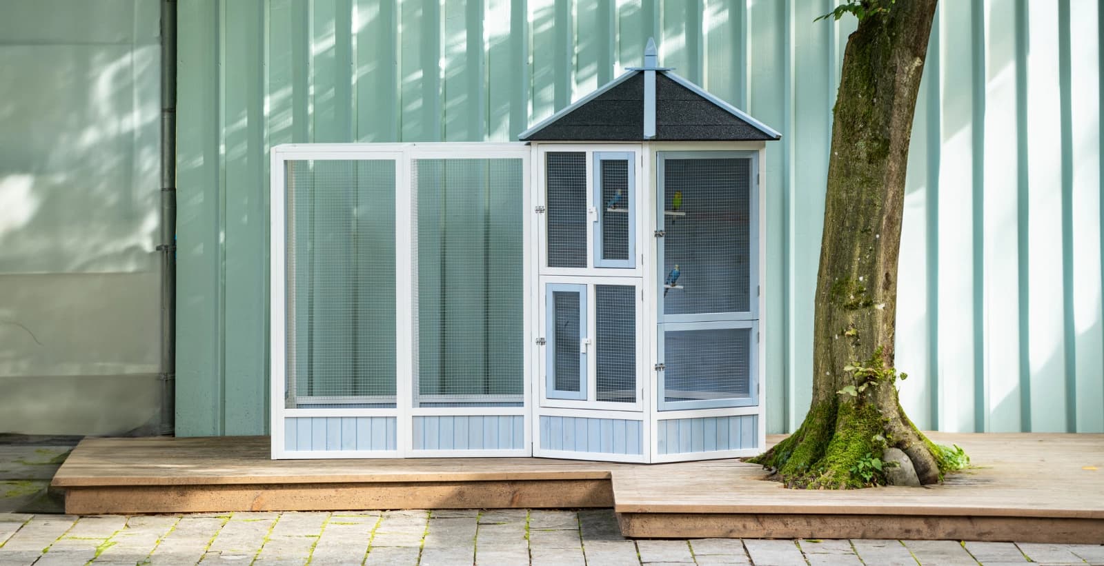 Haltung der Bourkesittiche