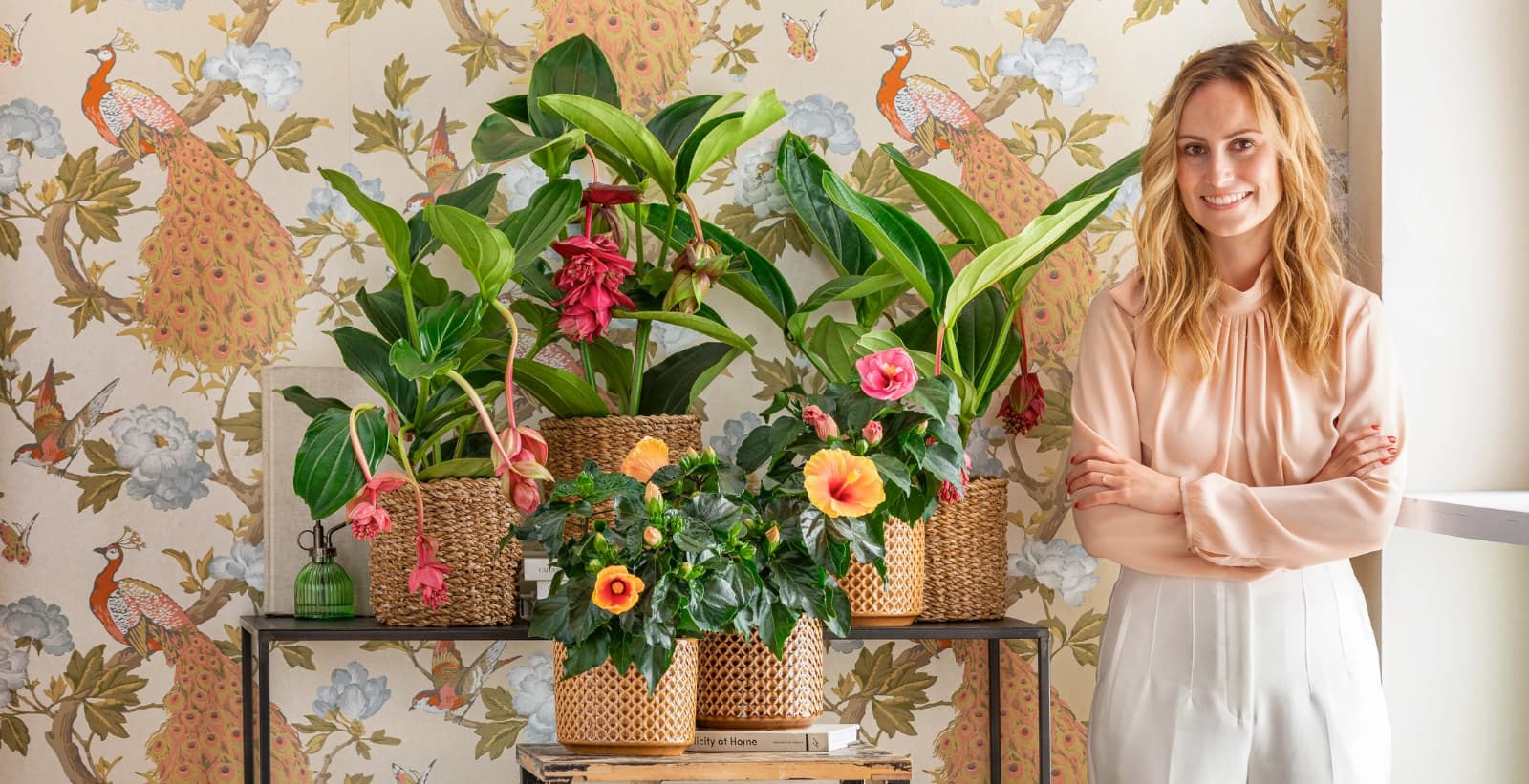 Handscheren für perfekte Hibiskus-Schnitte