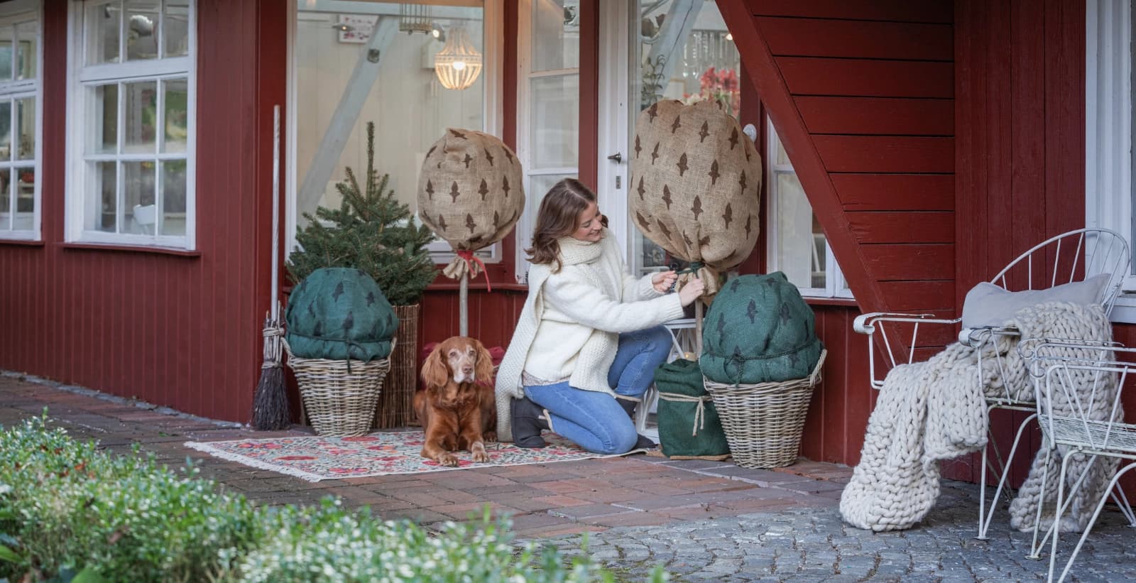 Winterschutz für Rosen
