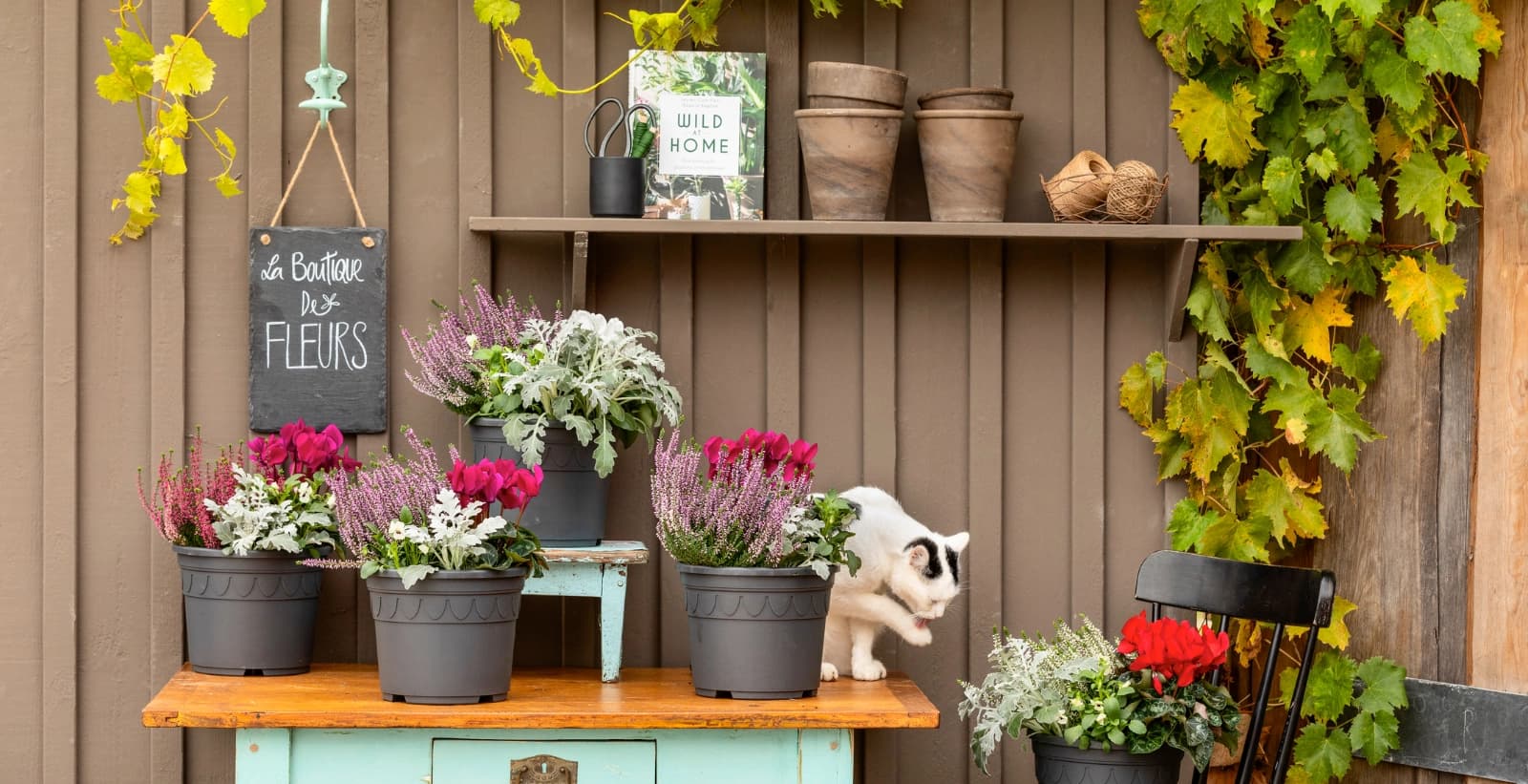 Perfekte Partner für Calluna und Erika