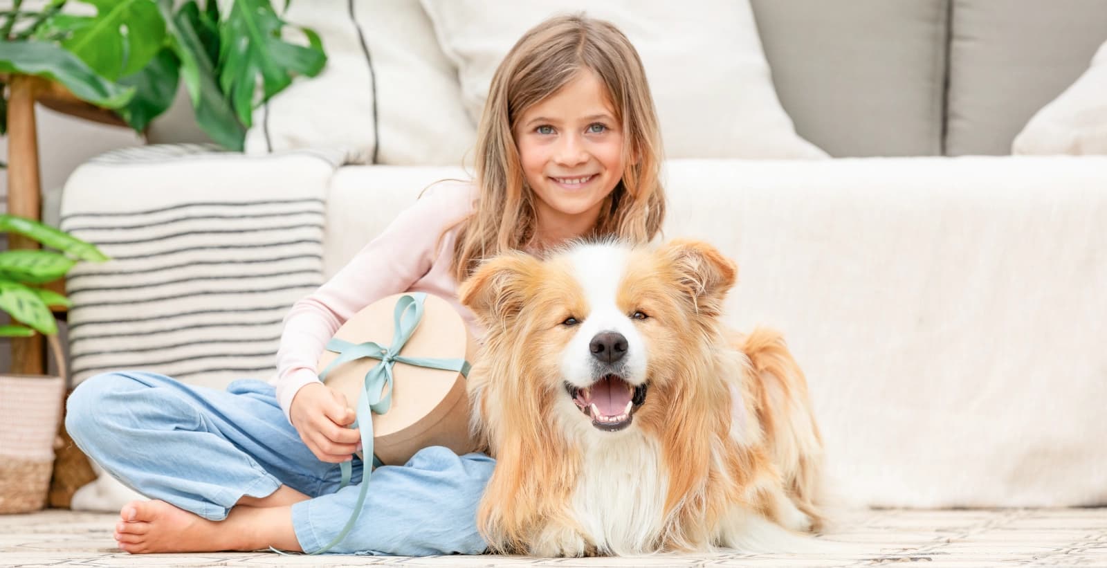 Mitbringsel für den Geburtstagshund