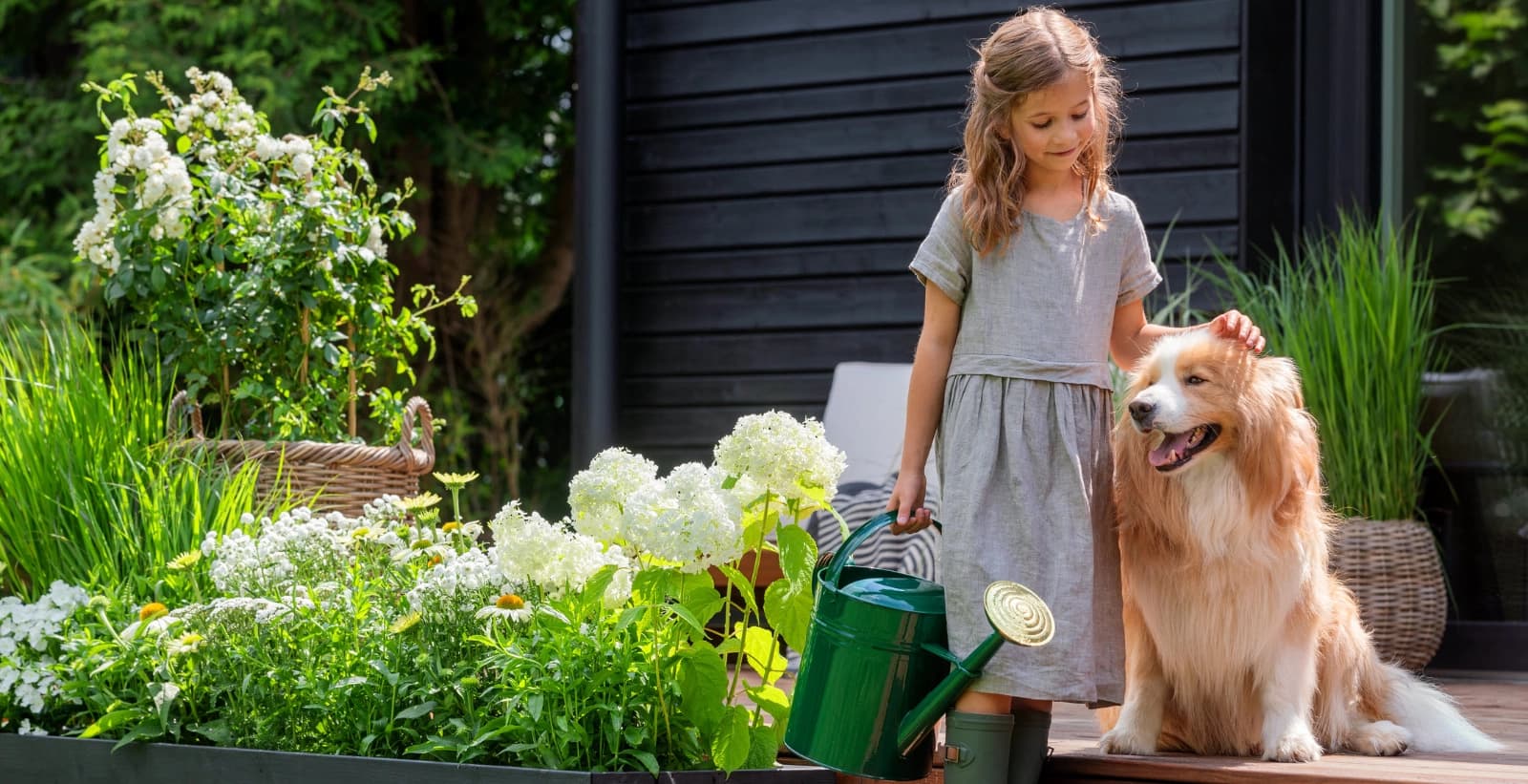Hitzetipps für Haustiere