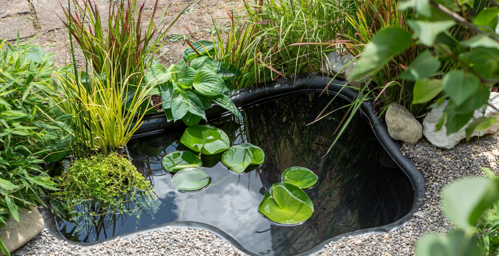 7. Teich gehegt & gepflegt