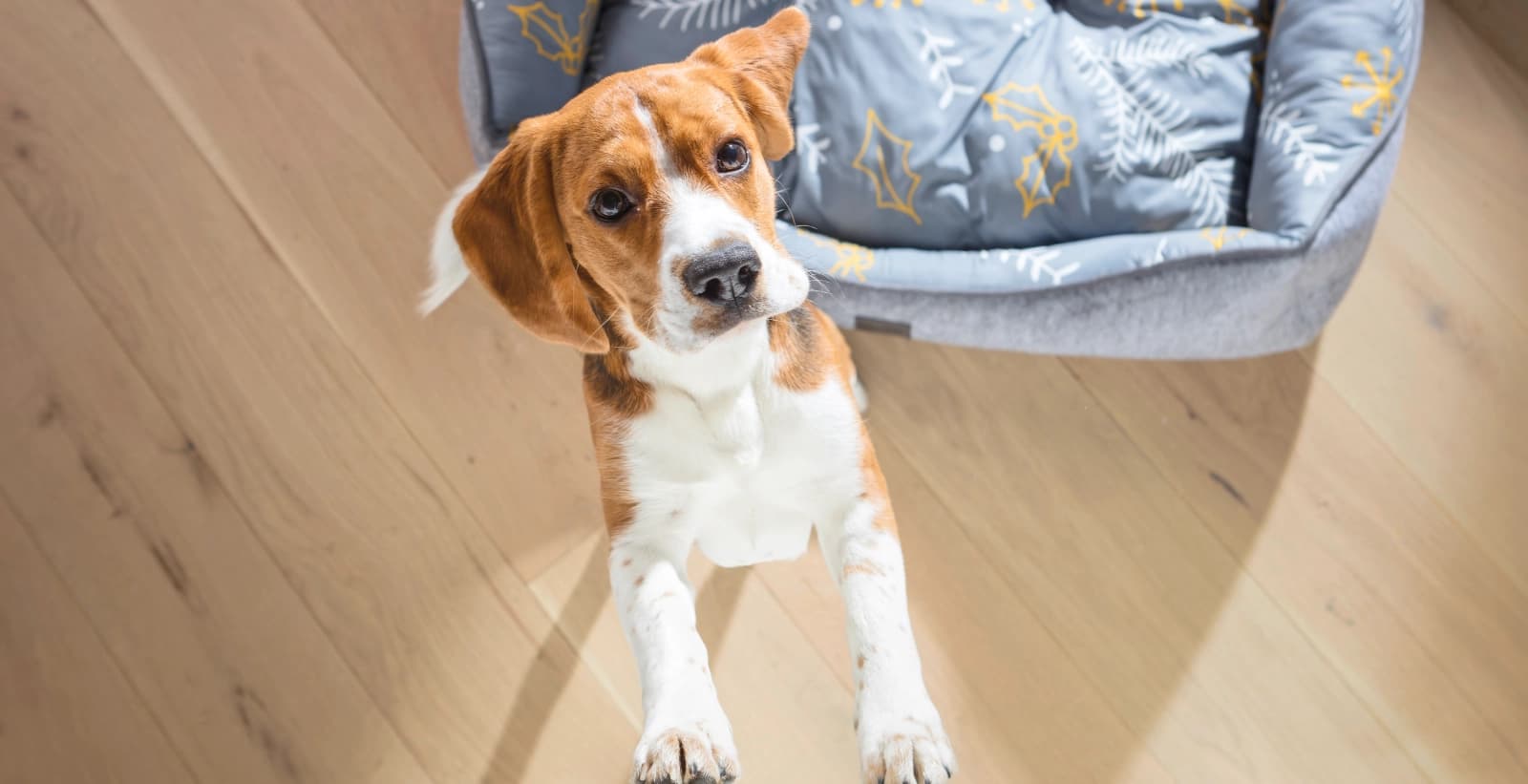 Weitere Tipps für den perfekten Start