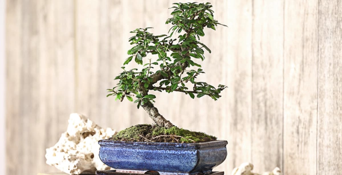 Wissenswertes zum Standort