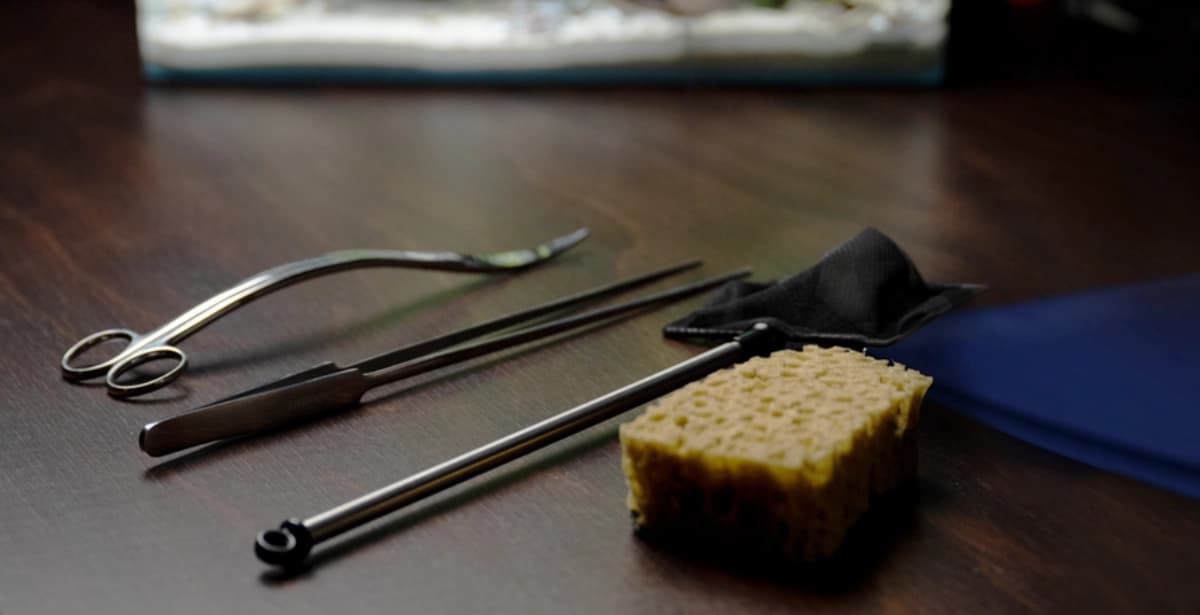 Beste Pflege für Rennis