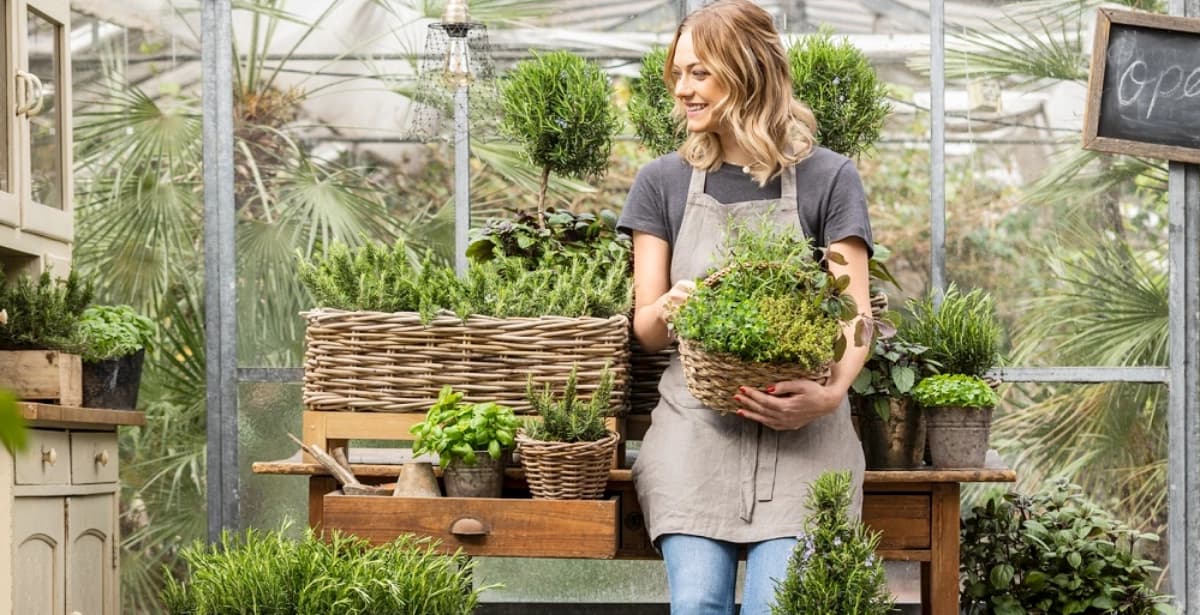 Vorteile eines Gewächshauses